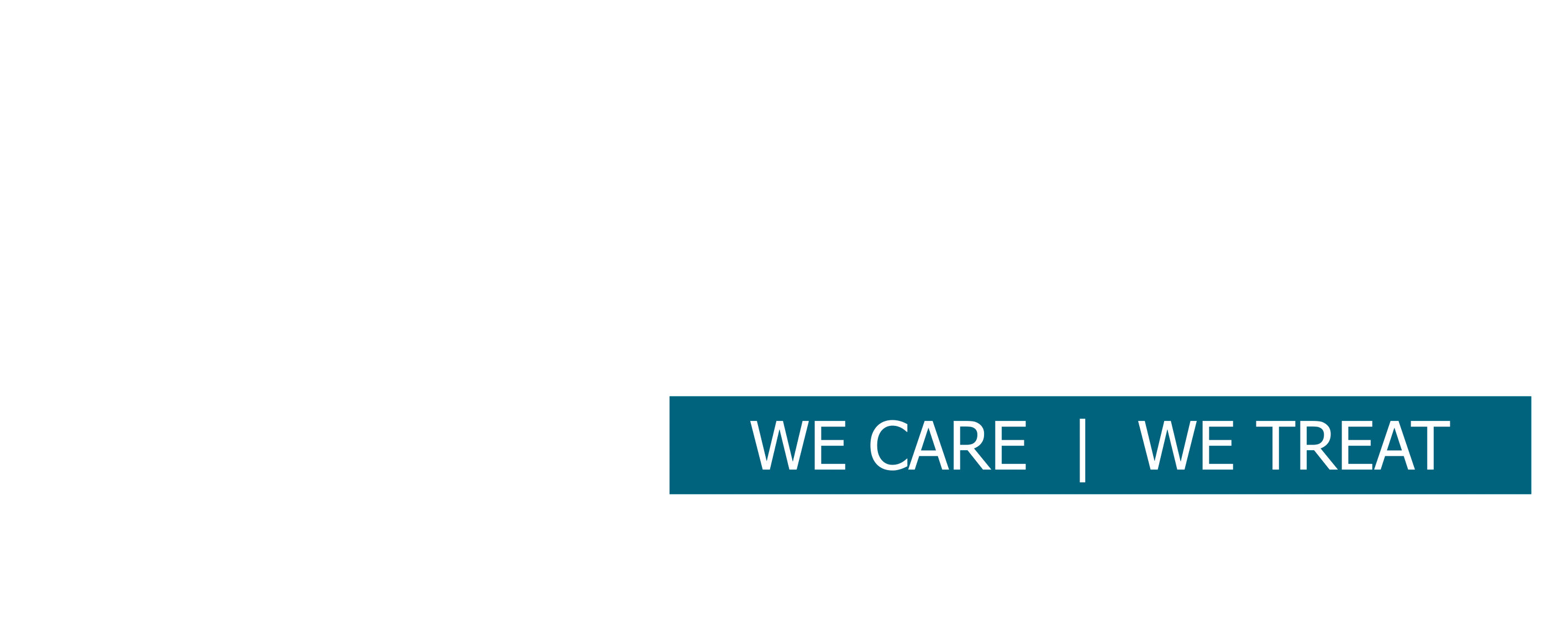 Anaya Hospitals Logo